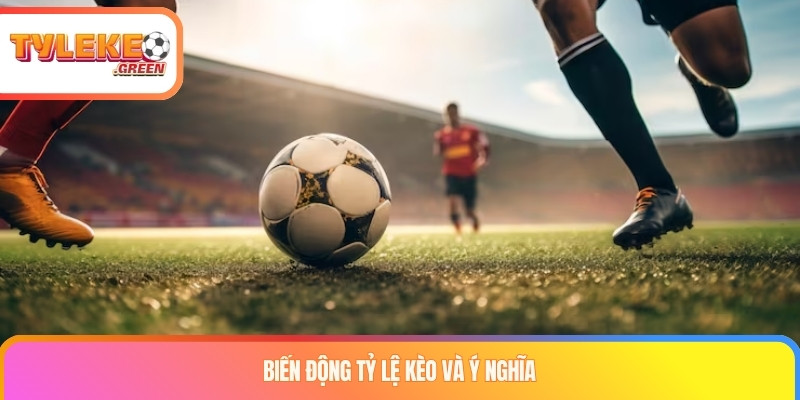 Biến động tỷ lệ kèo và ý nghĩa
